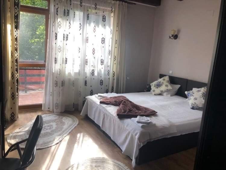 Casa Daniel Hotel Bran  Luaran gambar